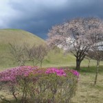 Сатып алулар