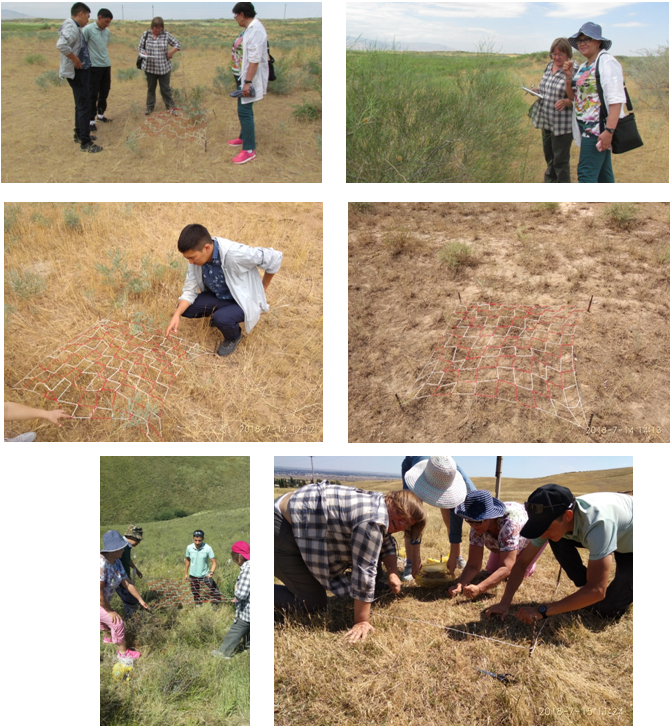 Пример использования сетки Раменского для определения урожайности растительности песчаных массивов и предгорий 